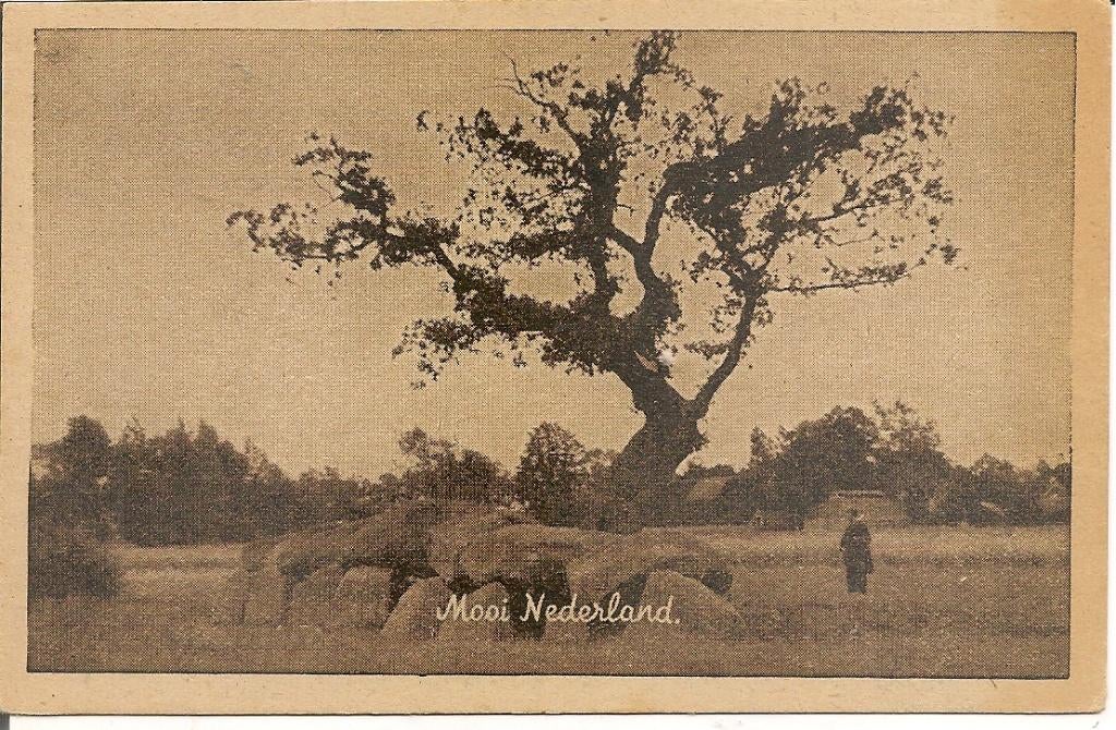 Mooi Nederland  Hunebed   Drenthe, Verzamelen, Ansichtkaarten | Nederland, Ophalen of Verzenden, 1920 tot 1940, Ongelopen, Drenthe