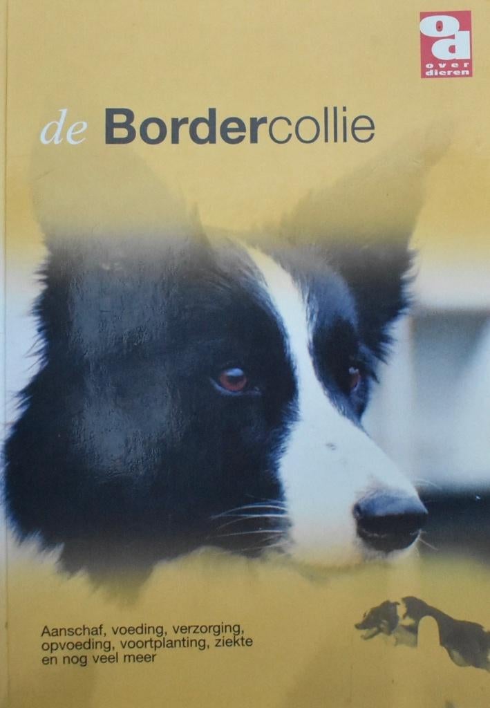 De Bordercollie: Aanschaf, (op)voeding, verzorging enz, Ophalen of Verzenden, Zo goed als nieuw, Honden