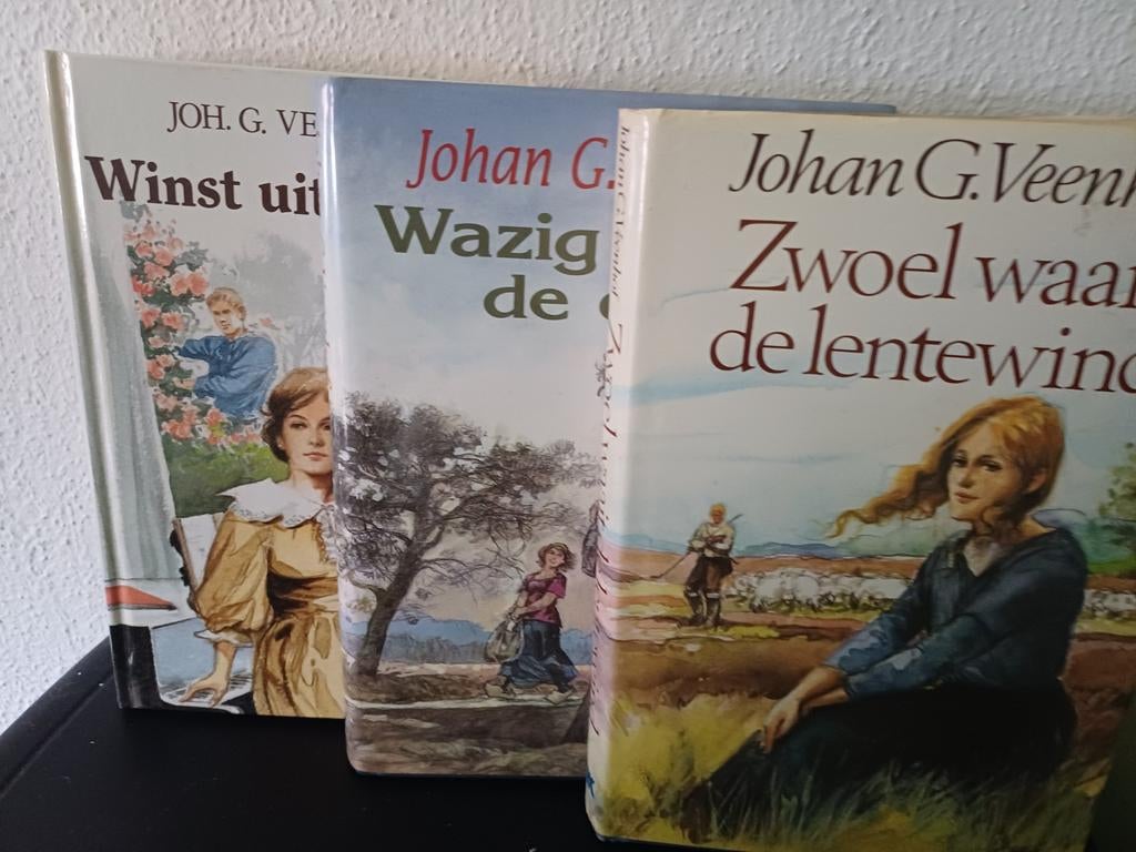 Joh. G. Veenhof diverse titels, Boeken, Ophalen, Zo goed als nieuw