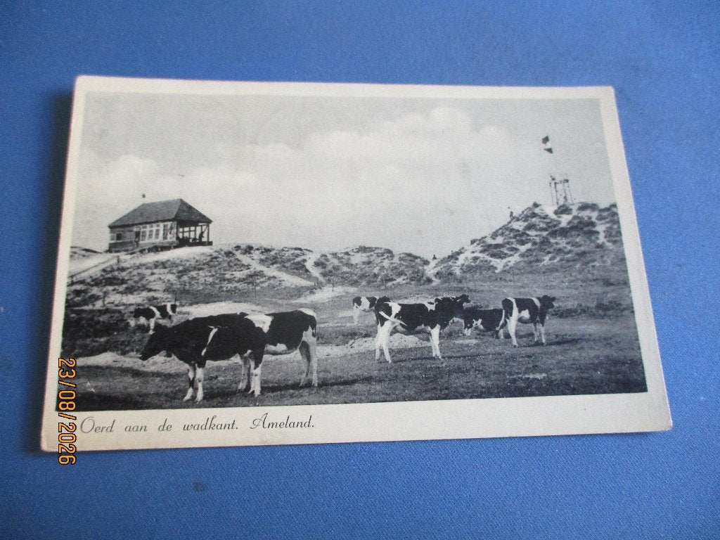 Ameland (!938), Ophalen of Verzenden, Voor 1920, Gelopen, Waddeneilanden