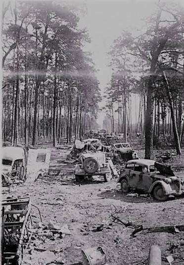 Gezocht Informatie over Divisie Nederland in de Halbe Kessel, Ophalen of Verzenden, Landmacht, Duitsland, Overige typen