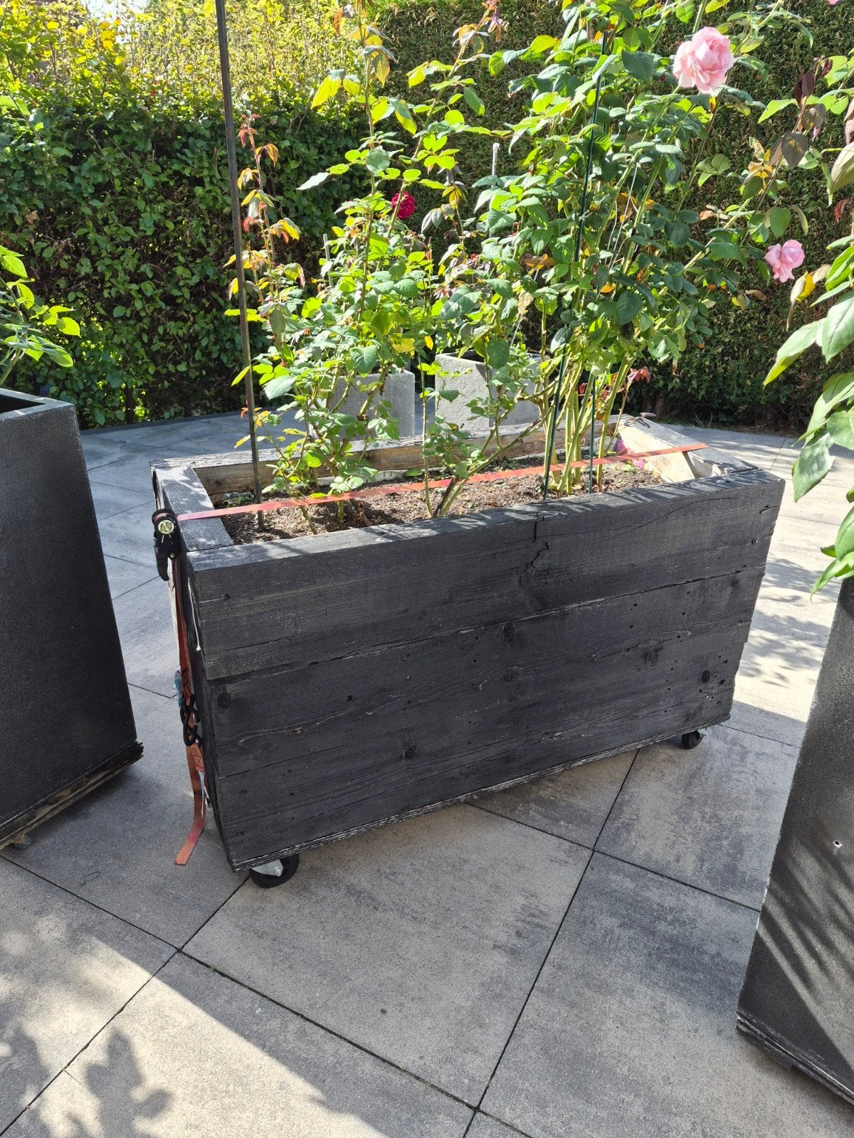 Gratis: 1 houten bloembak met rozenplanten, Tuin en Terras, Ophalen
