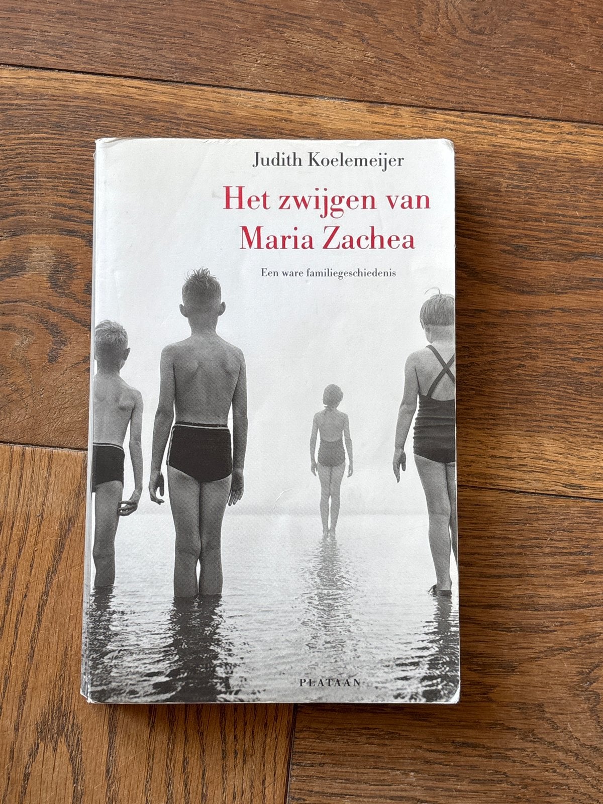 Het zwijgen van Maria Zachea - Judith Koelemeijer, Ophalen of Verzenden, Gelezen, Overige