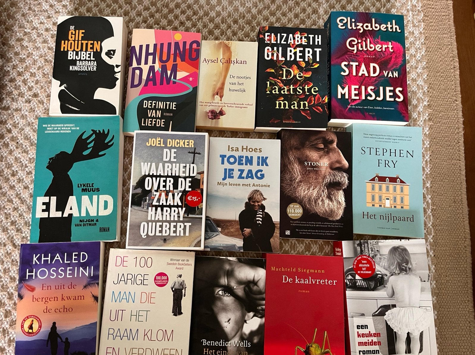 Diverse boeken. Romans, literatuur, fictie, Ophalen of Verzenden, Zo goed als nieuw, Verschillende onderwerpen