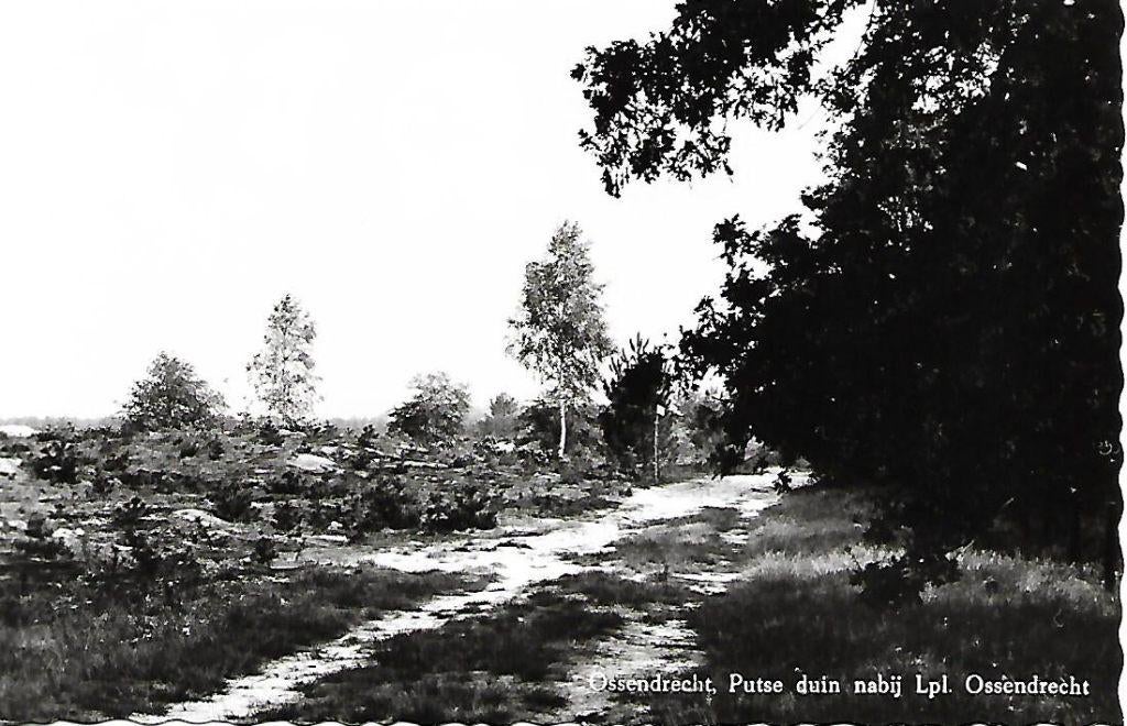 Ossendrecht- -Putse duin., Verzenden, 1960 tot 1980, Ongelopen, Noord-Brabant