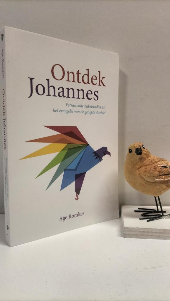 Romkes Age; Ontdek Johannes, Ophalen of Verzenden, Gelezen, Christendom | Protestants