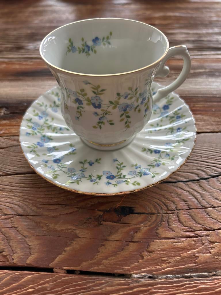 Vintage Royal China the Seltmann Weiden Bavaria the kop en s, Antiek en Kunst, Antiek | Porselein, Ophalen of Verzenden