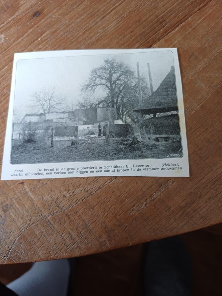 Knipsel brand boerderij Schalkhaar 1909, Ophalen of Verzenden, Voor 1920, Knipsel(s)