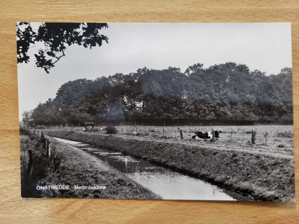 ansicht ONSTWEDDE metbroekbos, Ophalen of Verzenden, Voor 1920, Groningen