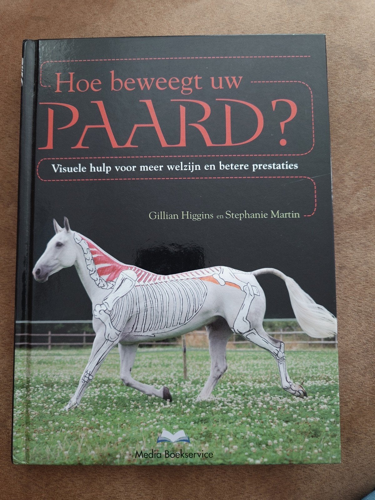 Hoe beweegt uw PAARD? Visuele hulp welzijn en prestaties, Ophalen of Verzenden, Zo goed als nieuw, Gillian Higgins en Stephanie Martin