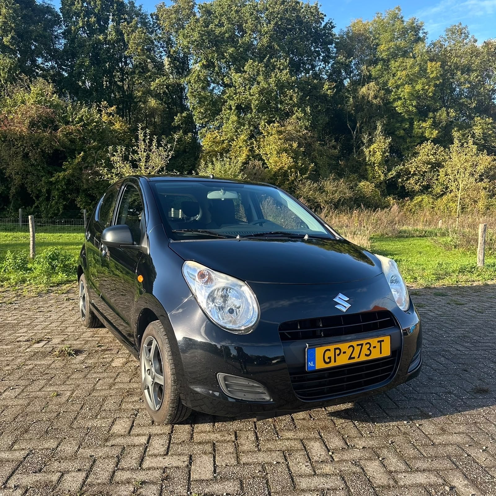 Suzuki Alto 1.0 2013 Zwart, Auto's, Voorwielaandrijving, 200 kg, 4 stoelen, Bedrijf