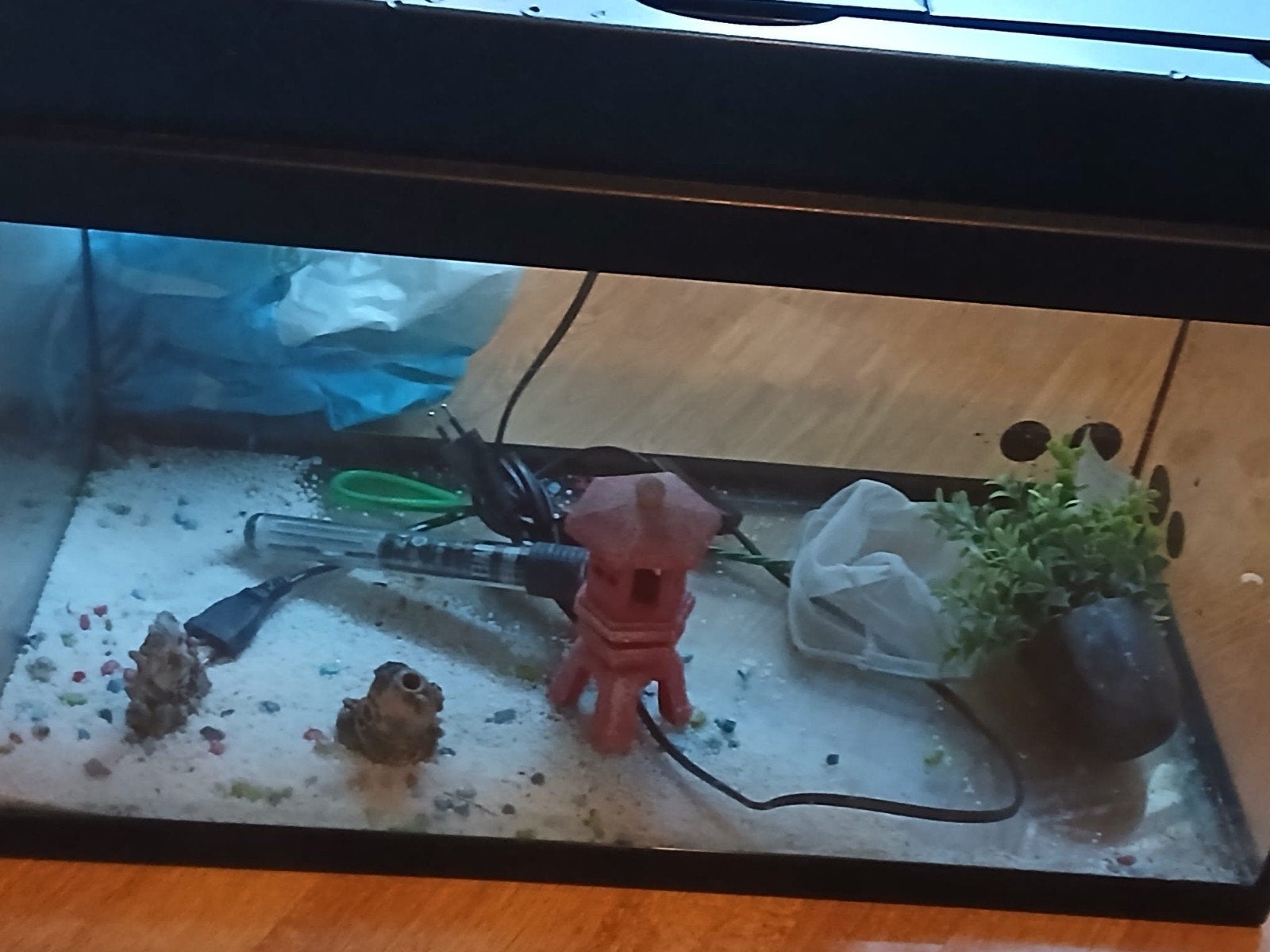 Aquarium 2x, Dieren en Toebehoren, Vissen | Aquaria en Toebehoren, Ophalen, Gebruikt, Gevuld zoetwateraquarium