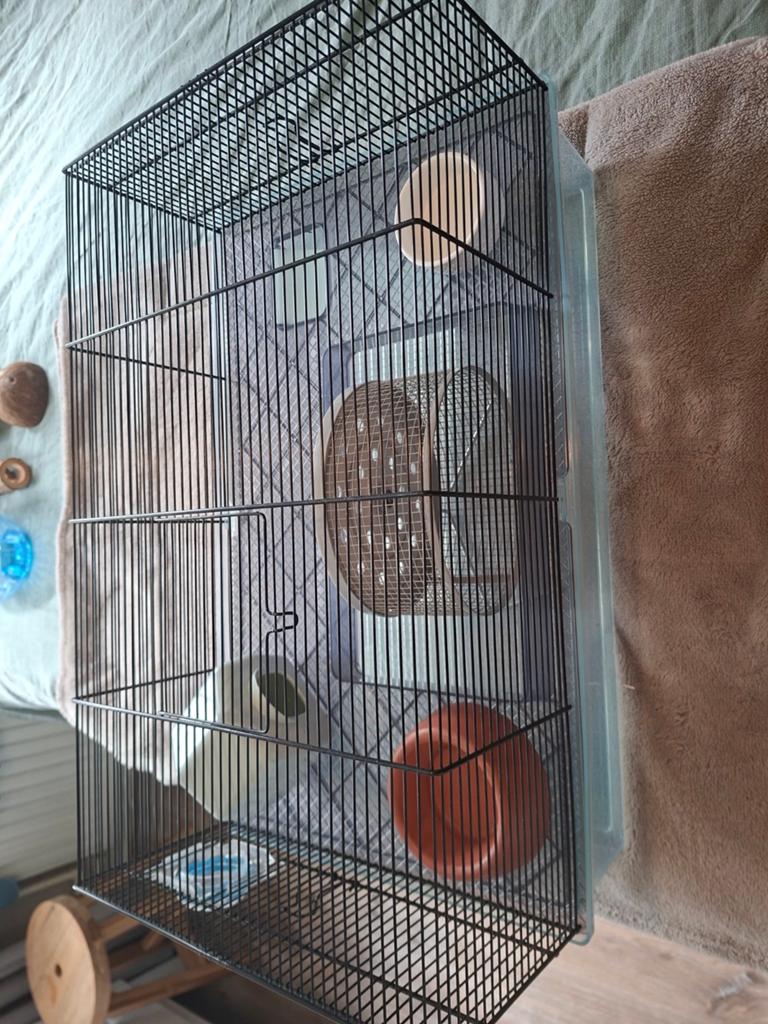 Hamsterkooi met alle benodigdheden, Dieren en Toebehoren, Knaagdieren en Konijnen | Hokken en Kooien, Kooi, Gebruikt, Minder dan 75 cm