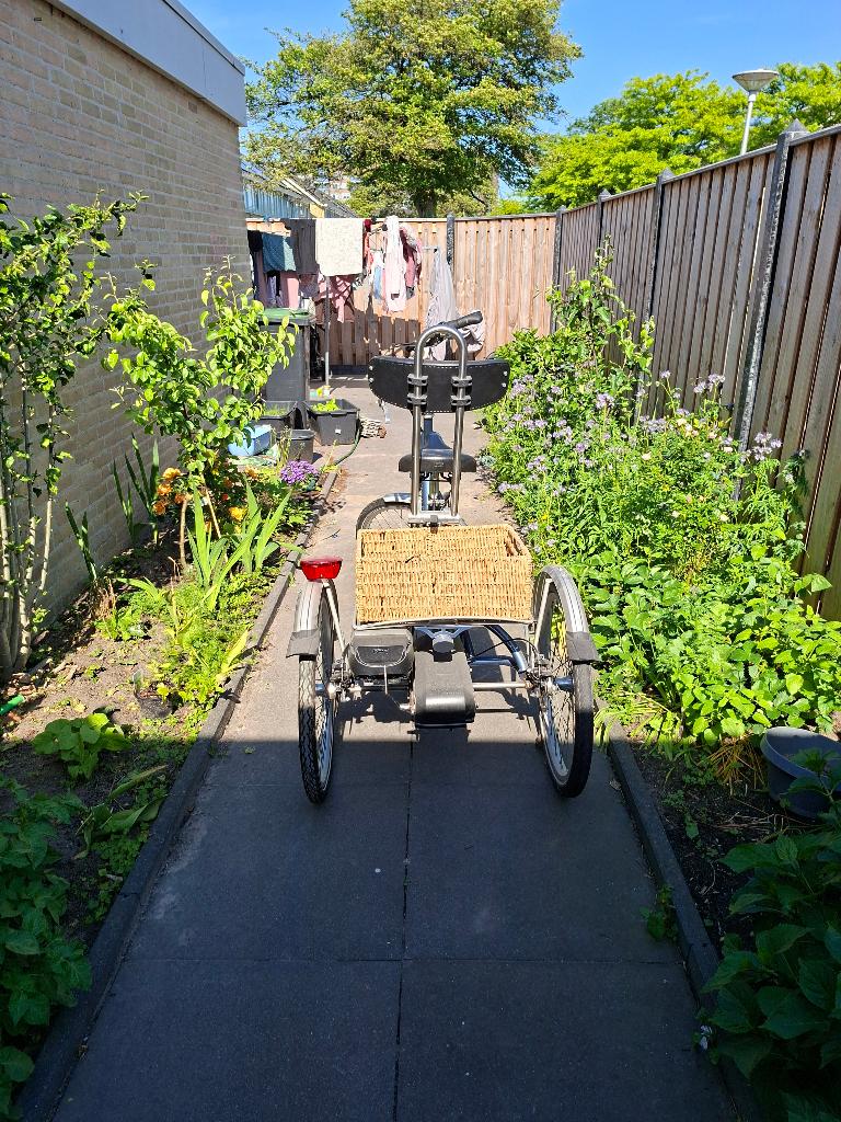 Van Raam Maxi elektrische driewieler fiets, Ophalen, Zo goed als nieuw, Trommelrem, Van Raam