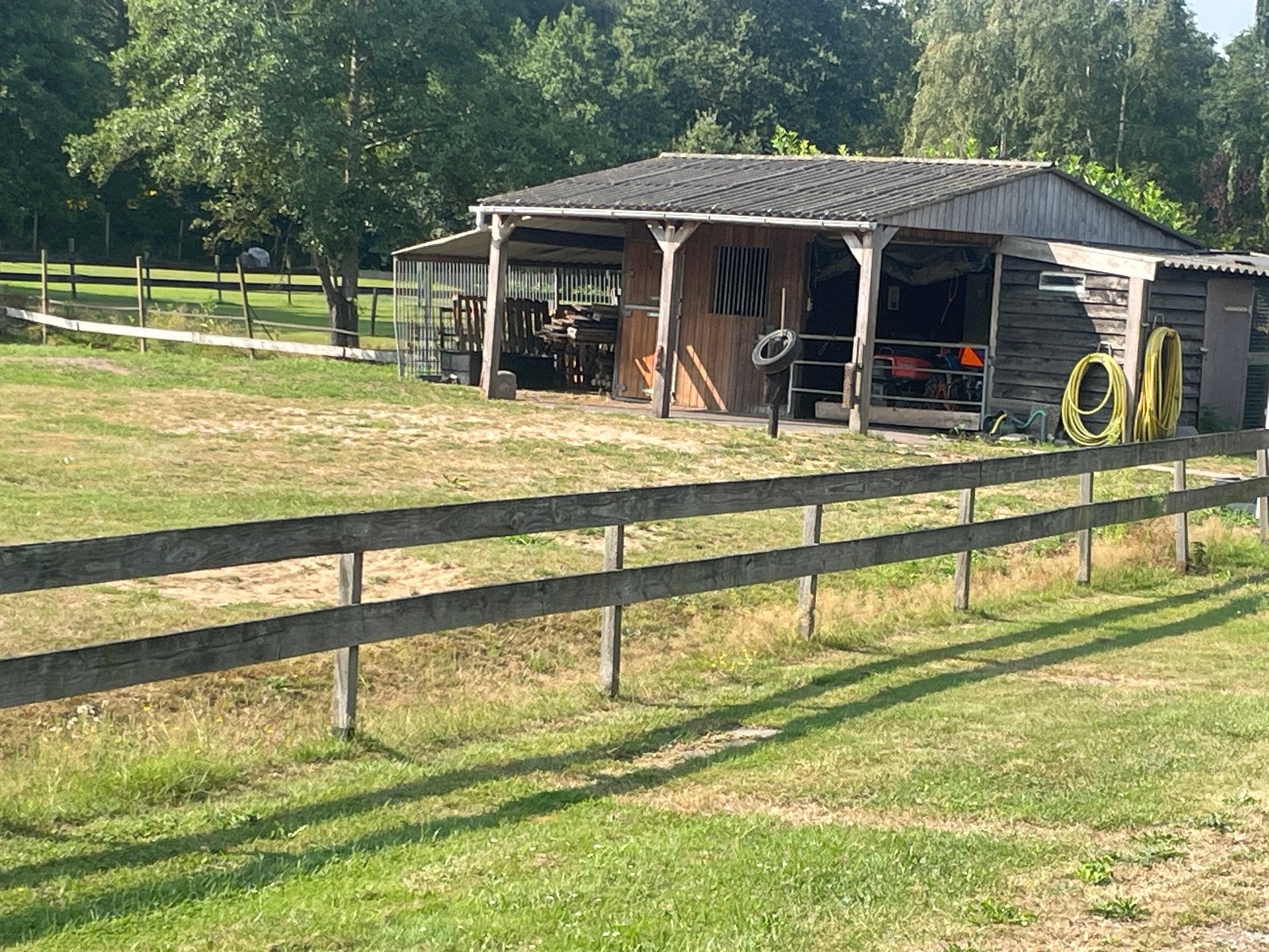 Paarden weiland met Stal te huur, Dieren en Toebehoren, Weidegang, 2 of 3 paarden of pony's