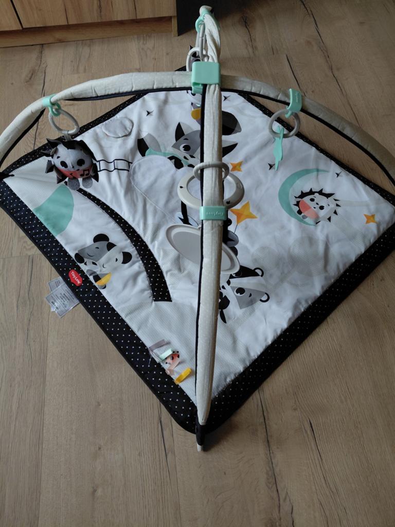 Tinylove babygym speelkleed met accessoires, Ophalen, Zo goed als nieuw, Speelkleed