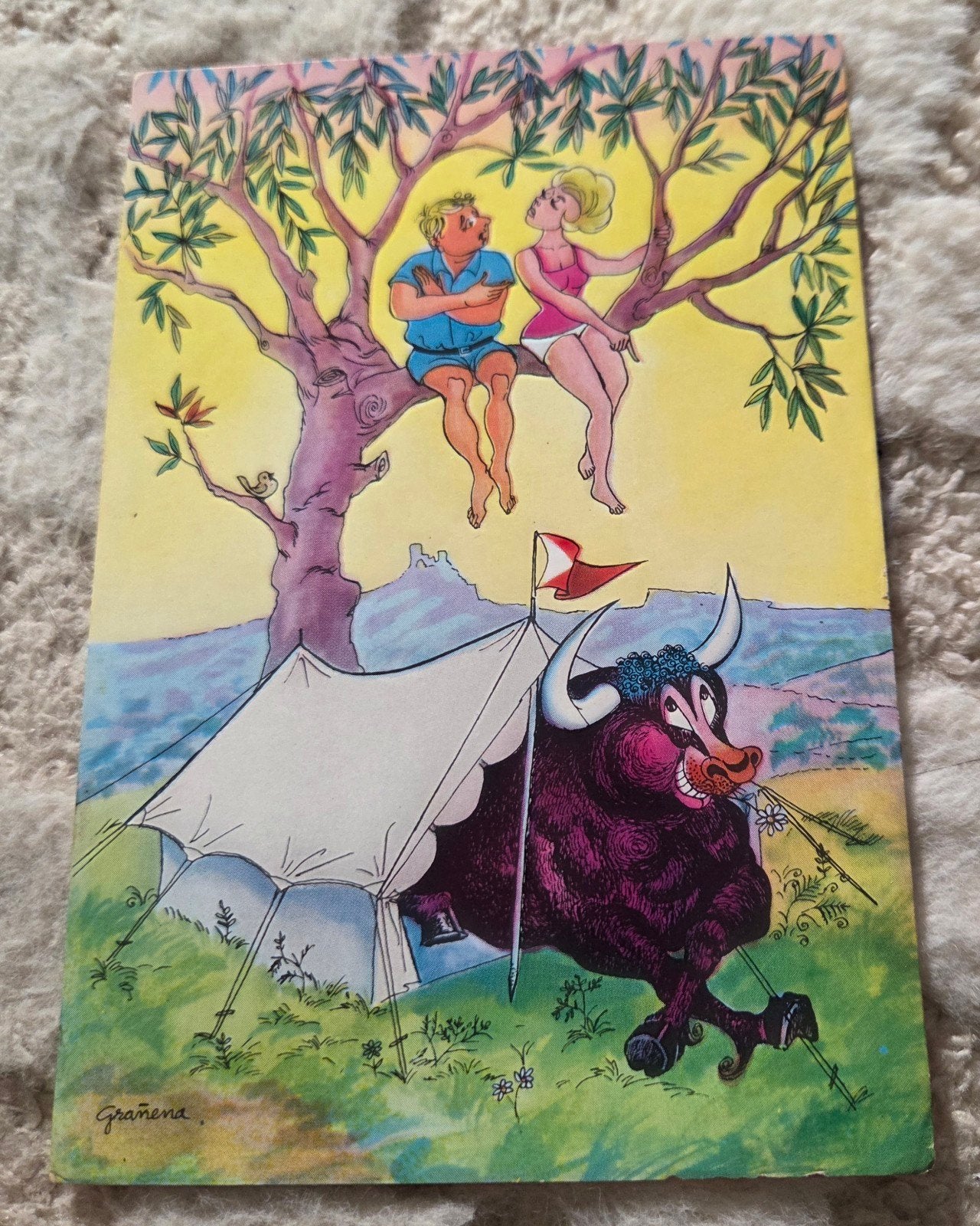 Humoristische stier en kampeerders, Verzenden, 1960 tot 1980, Gelopen, Overige thema's