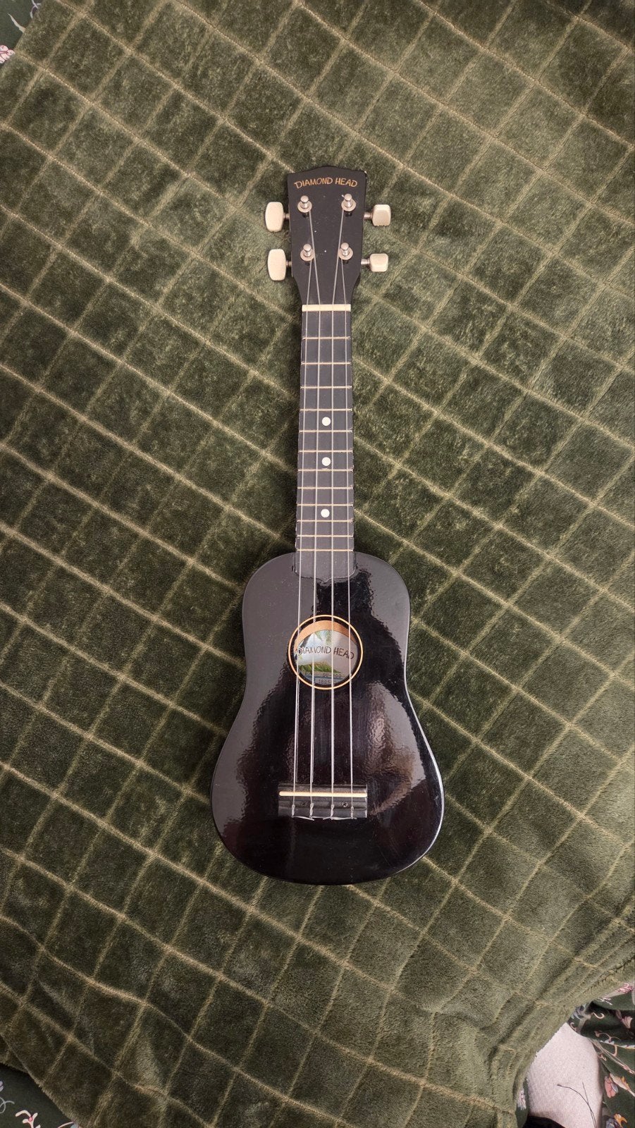 Diamond Head Sopraan Ukelele Zwart met Beschermhoes, Ophalen of Verzenden, Zo goed als nieuw, Overige typen