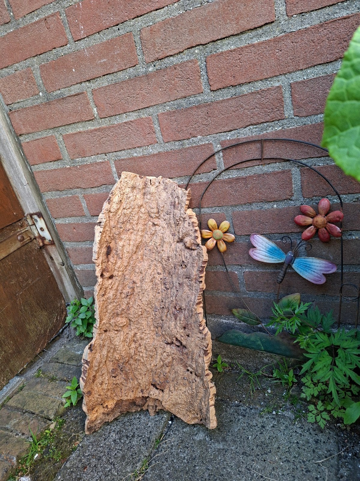 Boomschors terrarium, Ophalen of Verzenden