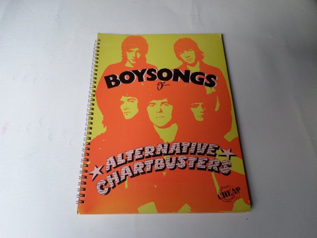 The Boys - Boysongs of Alternative Chartbusters Songbook, Ophalen of Verzenden, Zo goed als nieuw, Artiest