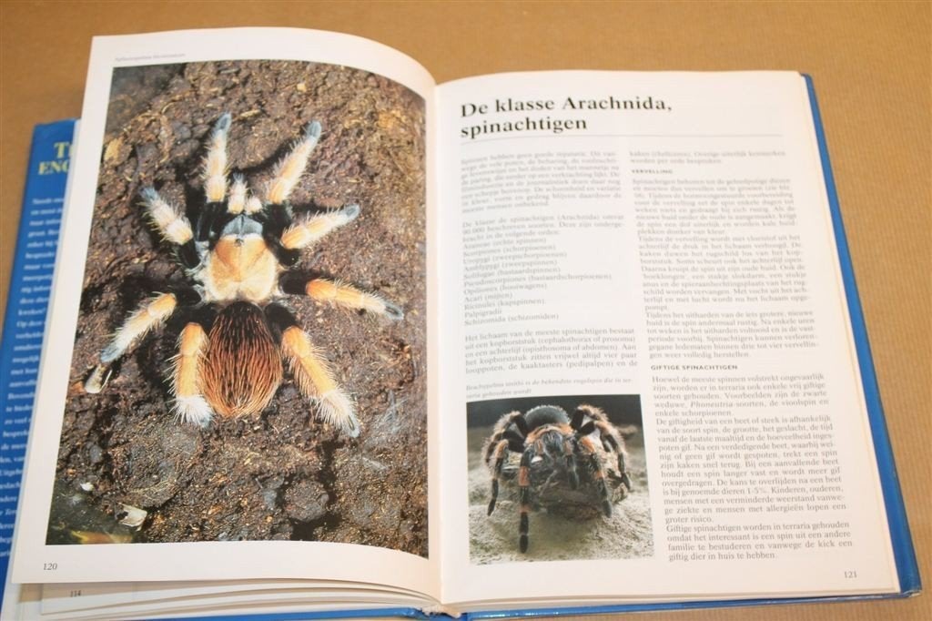 Terrarium — Reptielen en Amfibieën — Encyclopedie, Ophalen of Verzenden, Gelezen