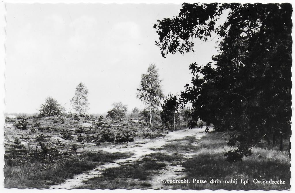 Ossendrecht Putse Duin Ansichtkaart ( B6909 ) (4)  ongelopen, Ophalen of Verzenden, 1920 tot 1940, Ongelopen, Noord-Brabant