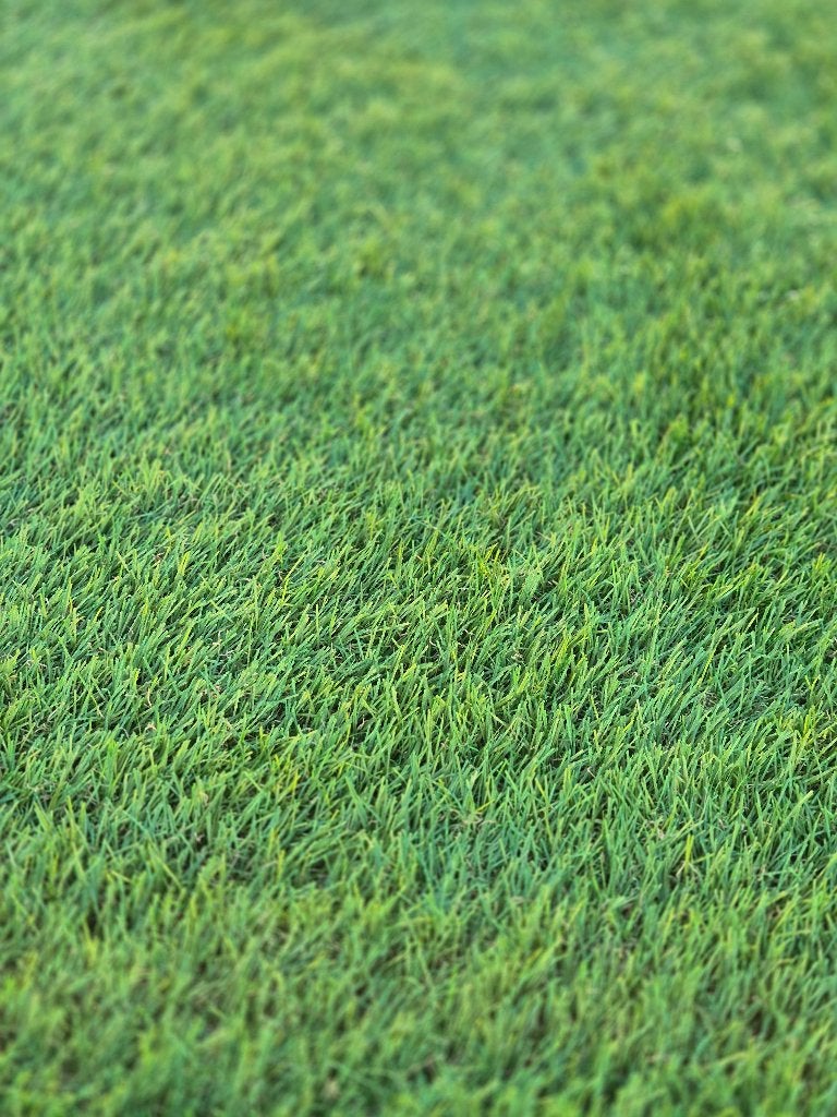 Kunstgras, Ophalen, Gebruikt, 10 tot 20 m², Kunstgras