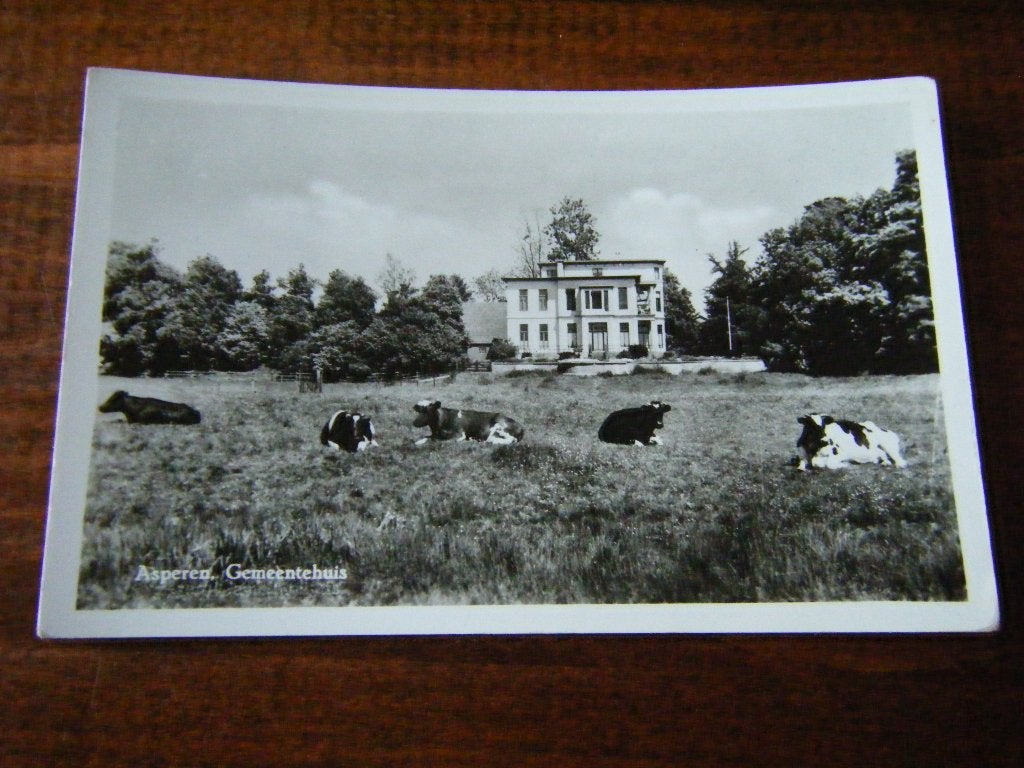 A41 - Asperen - Gemeentehuis - Koeien - Mooi/Oud, Verzamelen, Ansichtkaarten | Nederland, Gelderland, 1940 tot 1960, Ophalen of Verzenden