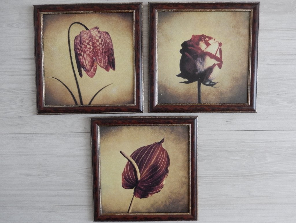 Set van 3 ingelijste Howard Waisman bloemenprints, Huis en Inrichting, Minder dan 50 cm, Gebruikt, Ophalen of Verzenden, Print