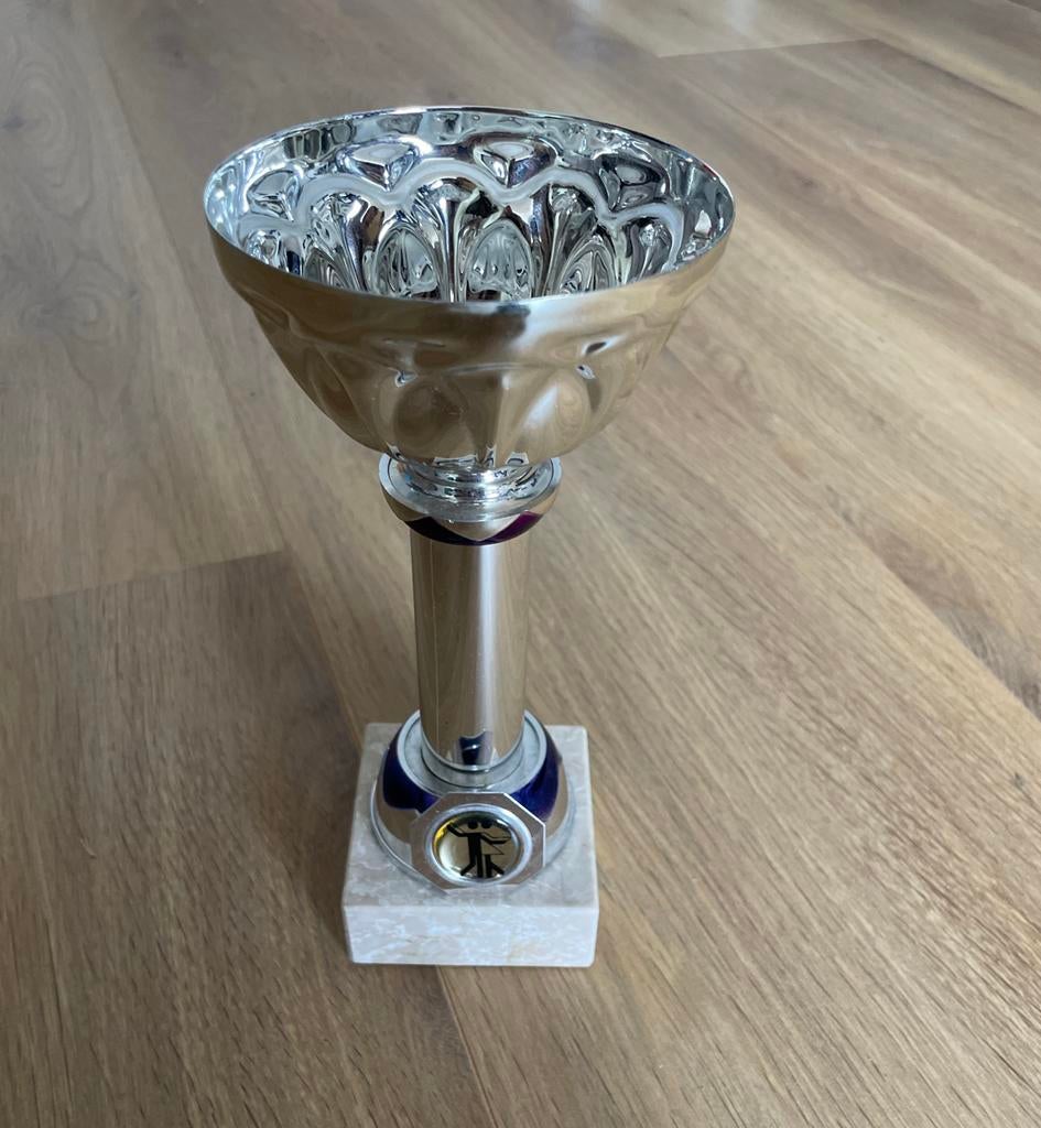 Mooie beker, trofee, max 25cm hoog, Ophalen of Verzenden, Gebruikt