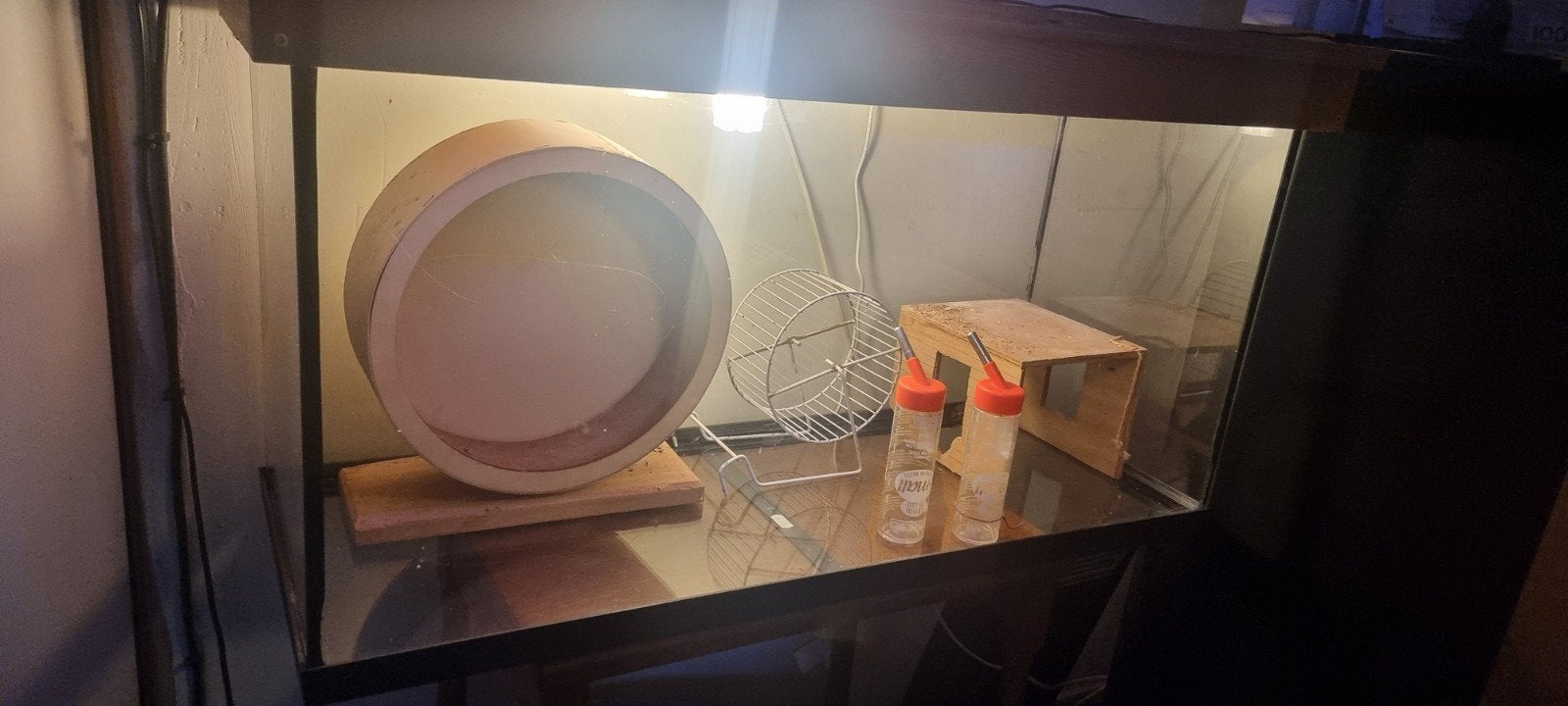 Muizen hamster terrarium aquarium, Dieren en Toebehoren, Knaagdieren en Konijnen | Hokken en Kooien, Gebruikt, Ophalen, Minder dan 60 cm
