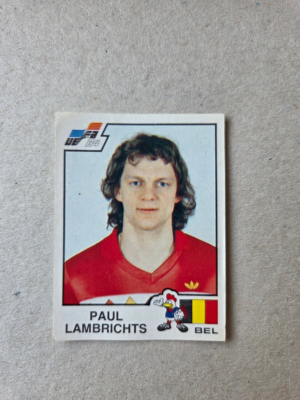 Panini EK 84, Ophalen of Verzenden, Zo goed als nieuw, Sticker