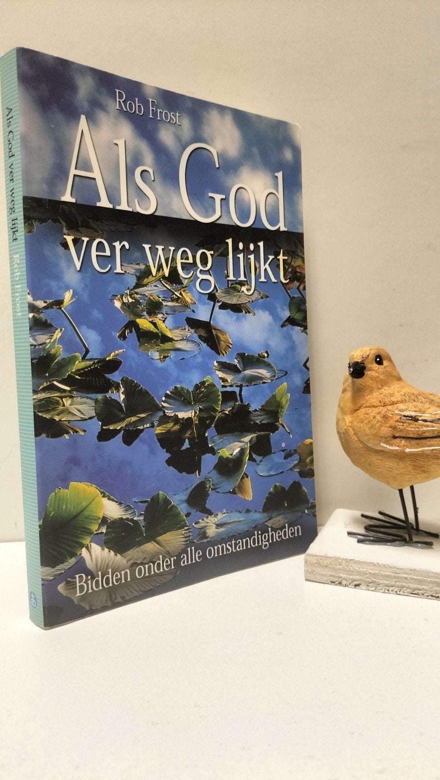 Frost, Rob; Als God ver weg lijkt, Ophalen of Verzenden, Gelezen, Christendom | Protestants