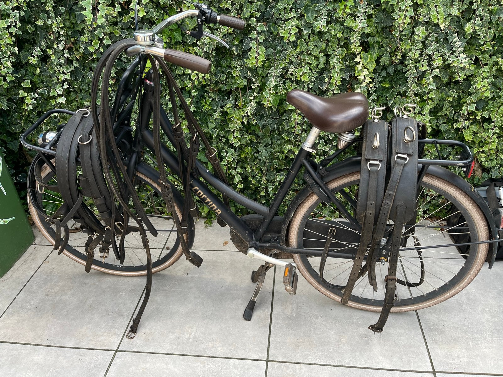 2span mentuig, maat shetlander. Te koop, Dieren en Toebehoren, Ophalen, Gebruikt