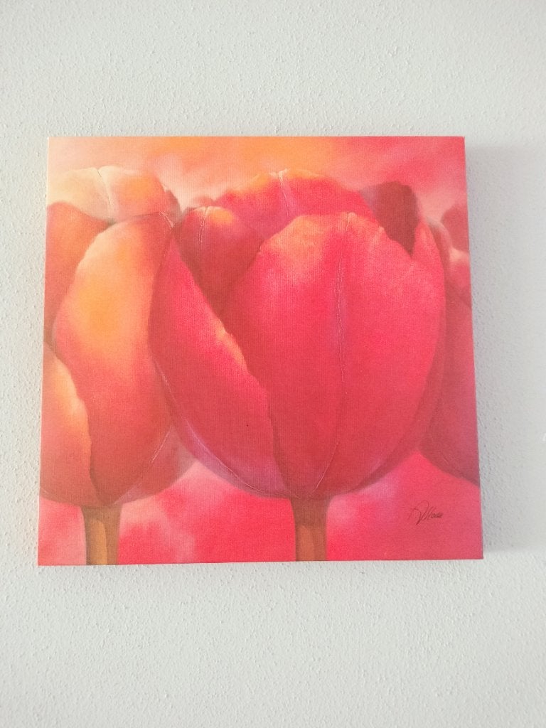 Schilderij tulpen 2 keer  40*40 cm, Ophalen