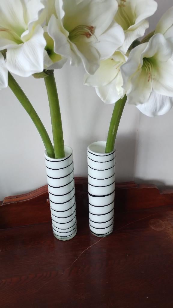Twee vazen, Wit, Ophalen of Verzenden, Minder dan 50 cm, Glas