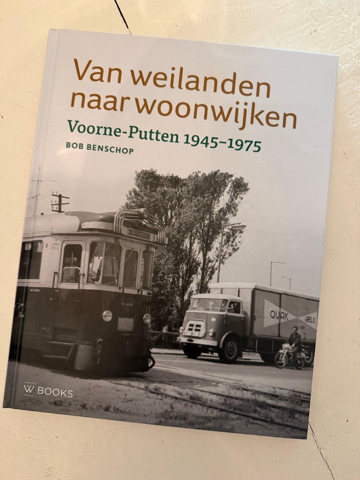 Van weilanden naar woonwijken: Voorne-Putten 1945-1975, Ophalen of Verzenden, 20e eeuw of later, Zo goed als nieuw