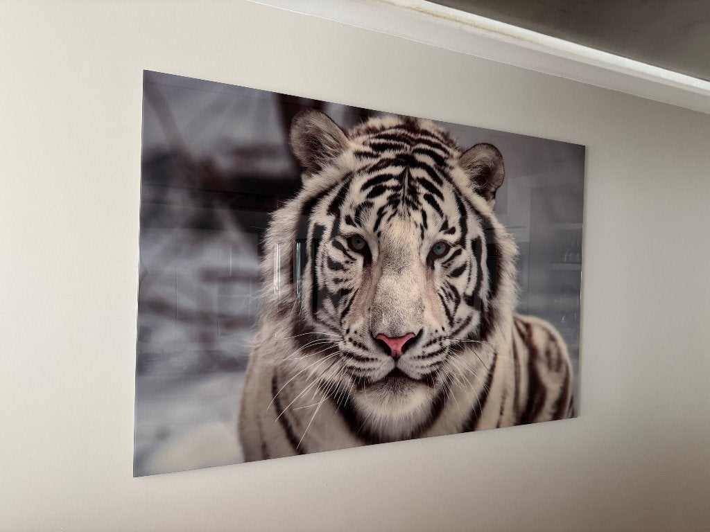 Luxe Art wall, Ophalen, Gebruikt, Schilderij, 120 cm