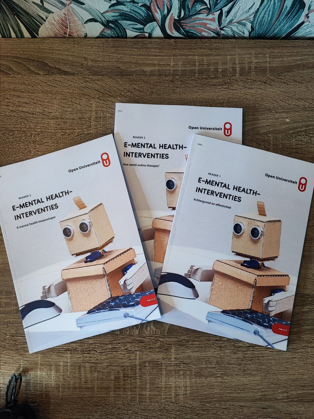 E-Mental Health-Interventies Readers (Open Universiteit), Boeken, Ophalen of Verzenden, Open Universiteit, Gamma, WO