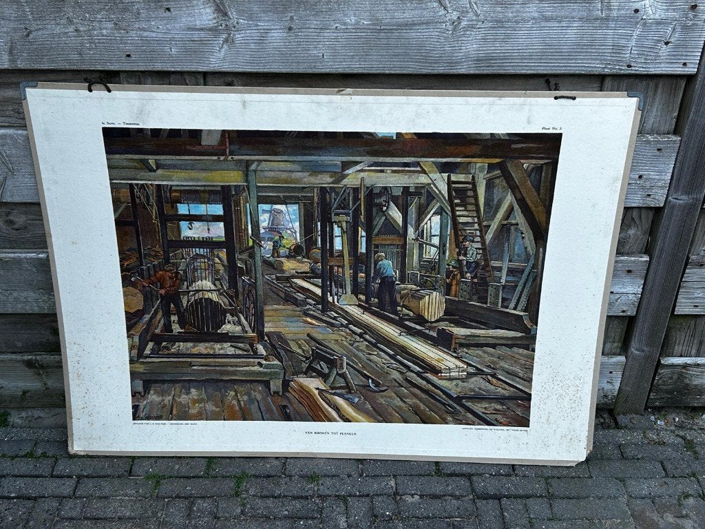 Van boomen tot planken, Ophalen of Verzenden, Aardrijkskunde