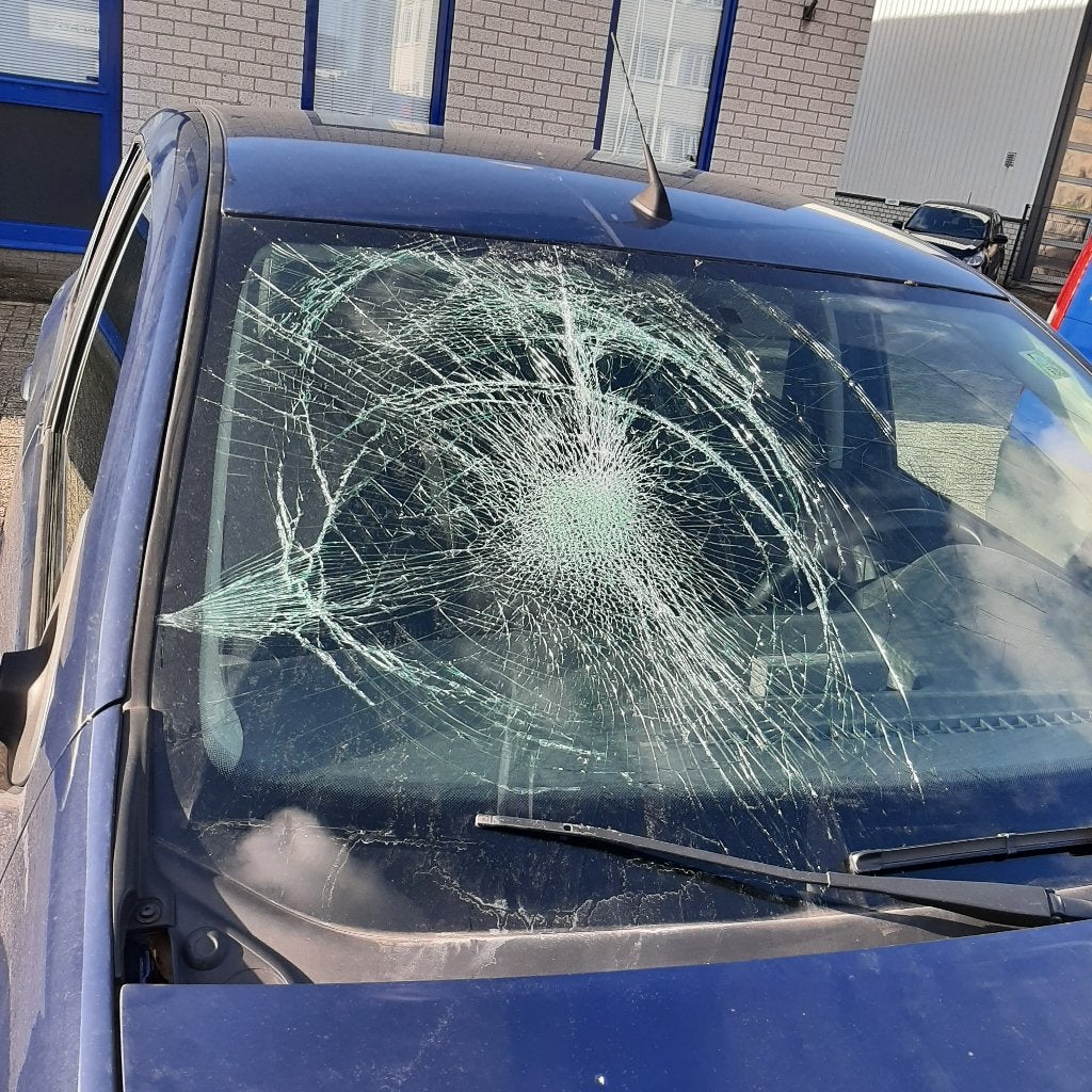AUTOGLAS SERVICE, Ophalen of Verzenden, Nieuw