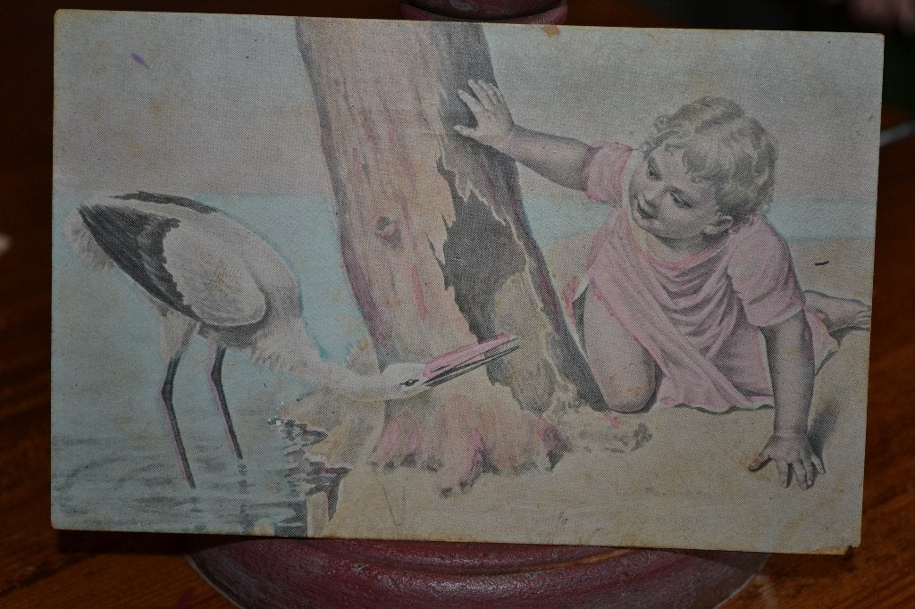 frankrijk 1905 meisje speelt met ooievaar bij boom, Ophalen of Verzenden, Voor 1920, Gelopen, Sterren en Beroemdheden