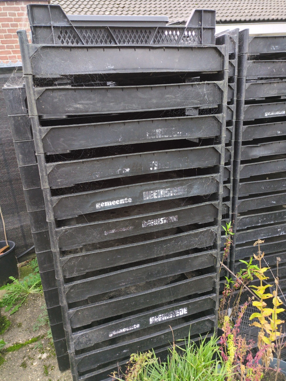 Zwarte plastic kratten - plantenkratten, Ophalen, Gebruikt, 40 tot 60 cm, 50 tot 75 cm
