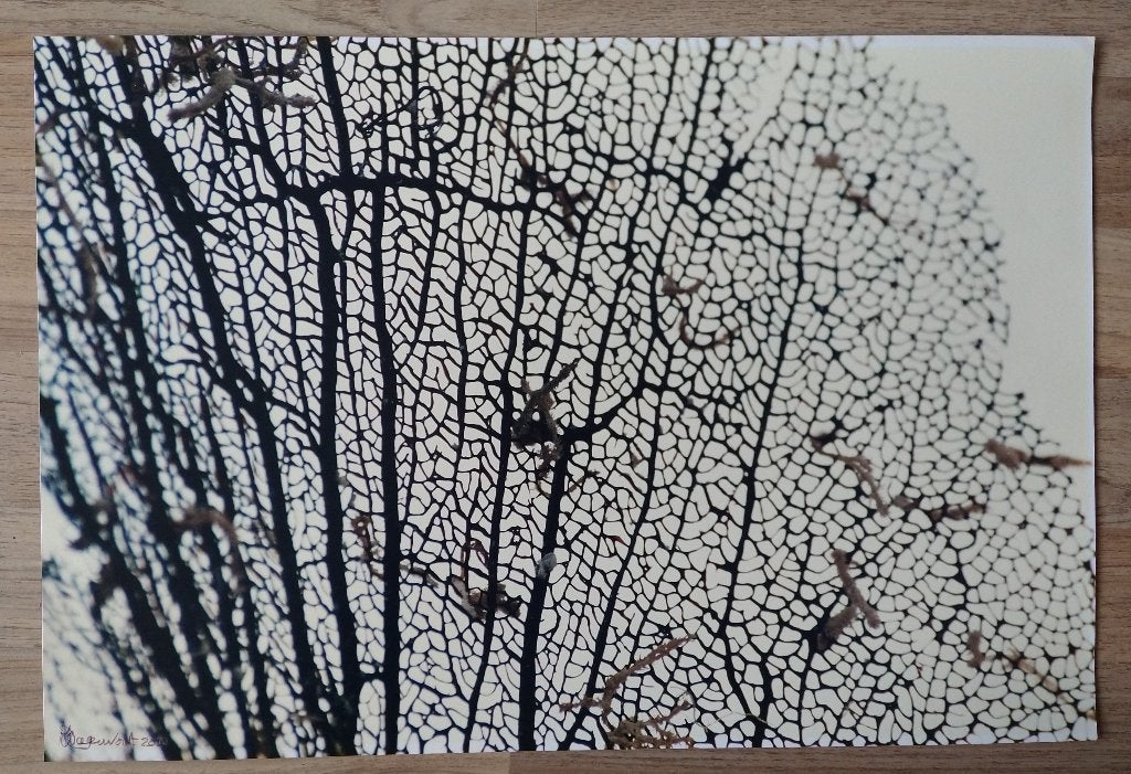 kunstfoto, Ophalen of Verzenden, Foto, Fotografie, Gesigneerd