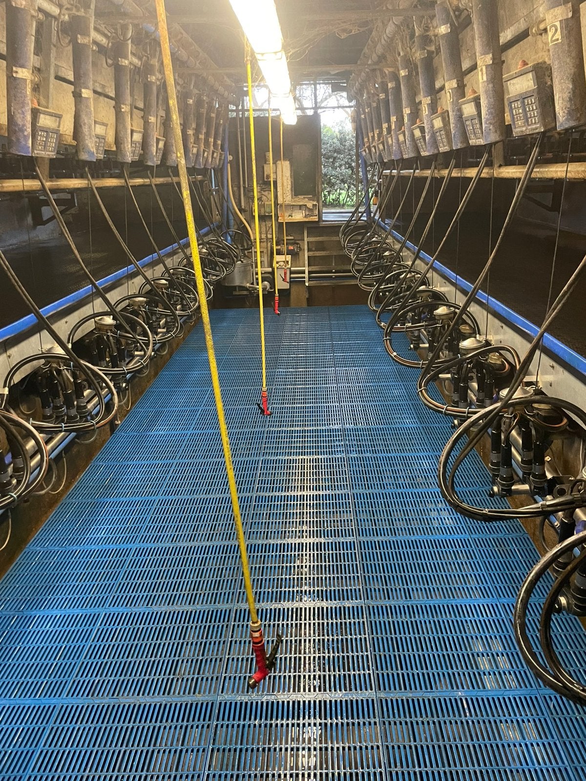 Delaval solidex
