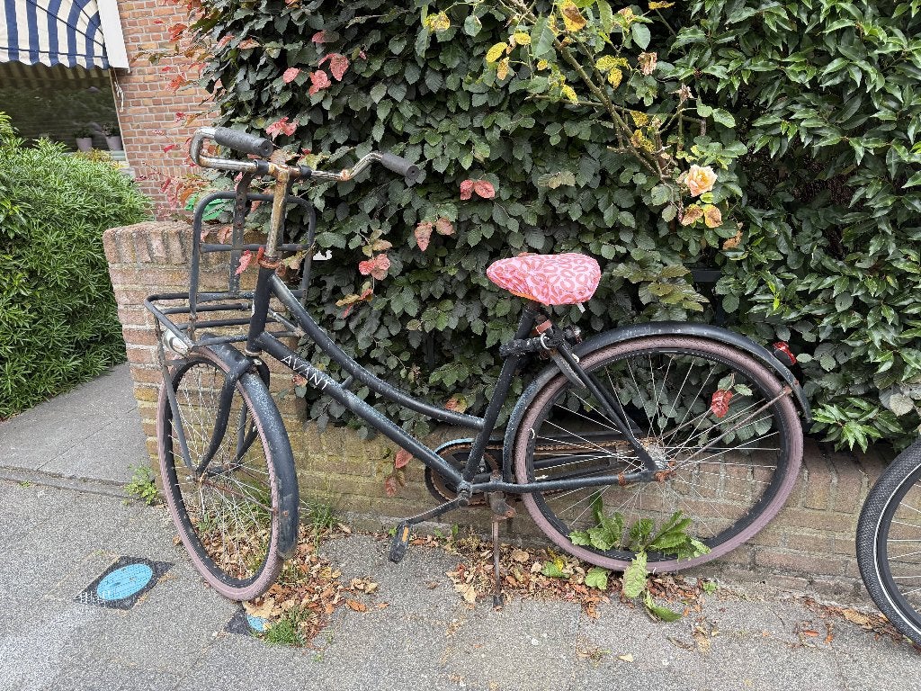 Gratis damesfiets - vandaag afhalen, Fietsen en Brommers, Fietsen | Dames | Omafietsen, Ophalen, Gebruikt, Terugtraprem, Avant