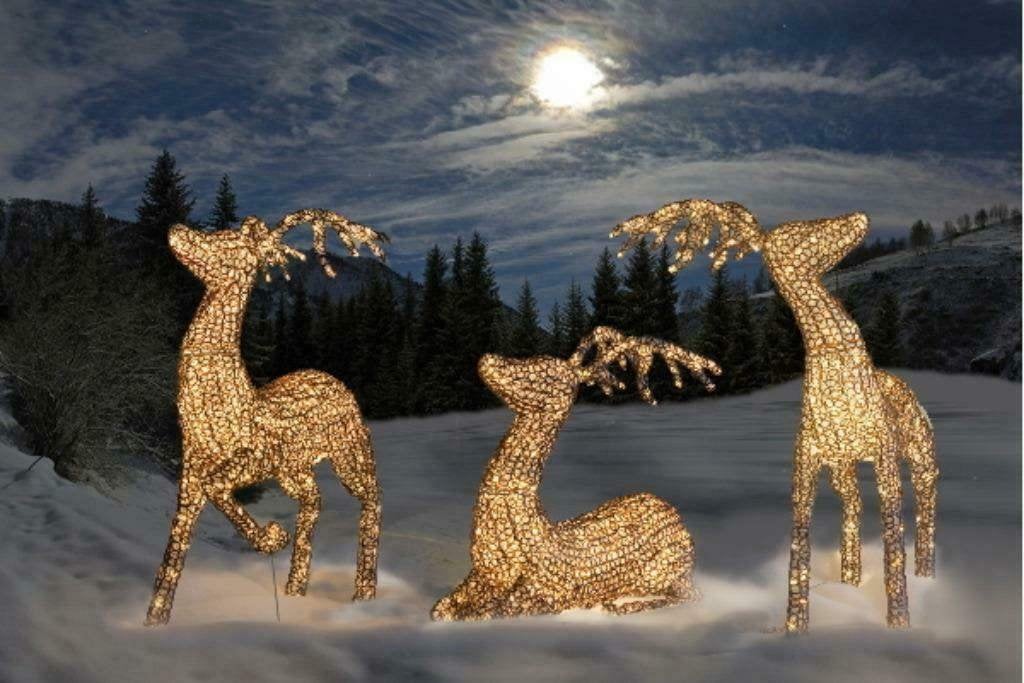 🎄Exclusief Rendierenkoppel In Glasoptiek 1200 Led's IP44🎄, Ophalen of Verzenden, Nieuw
