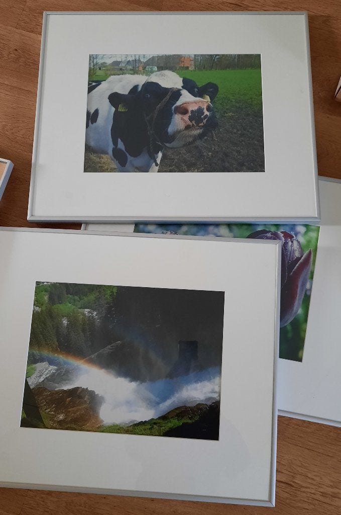 foto lijsten 5st 50*60cm, Ophalen, 60 cm, 50 cm, Met glas