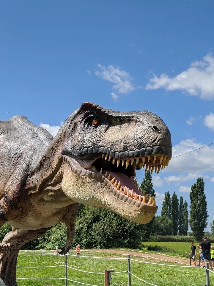 Dino park. Gouda. Kaartje. Ticket, Eén persoon, Ticket of Toegangskaart