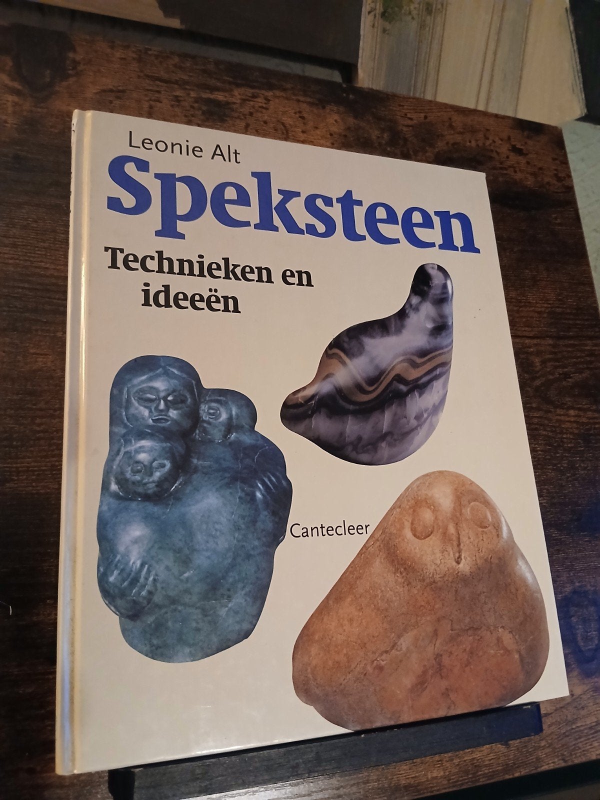 Speksteen Technieken en Ideeën - Leonie Alt, Ophalen of Verzenden, Gelezen, Kleien en Boetseren, Leonie Alt
